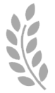 leaf logo